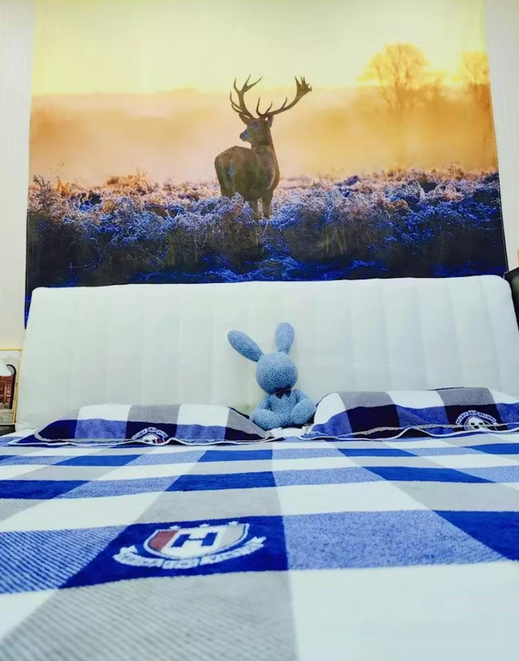 Foto de la reseña