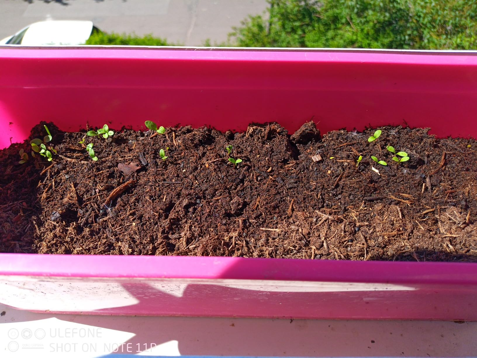 Foto de Catarina Fernandes