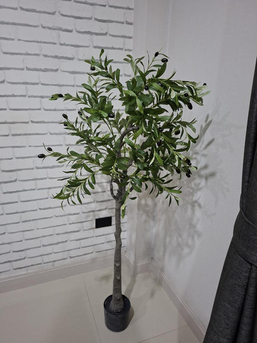 Foto de la reseña