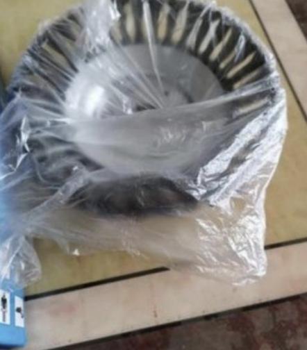 Foto de la reseña