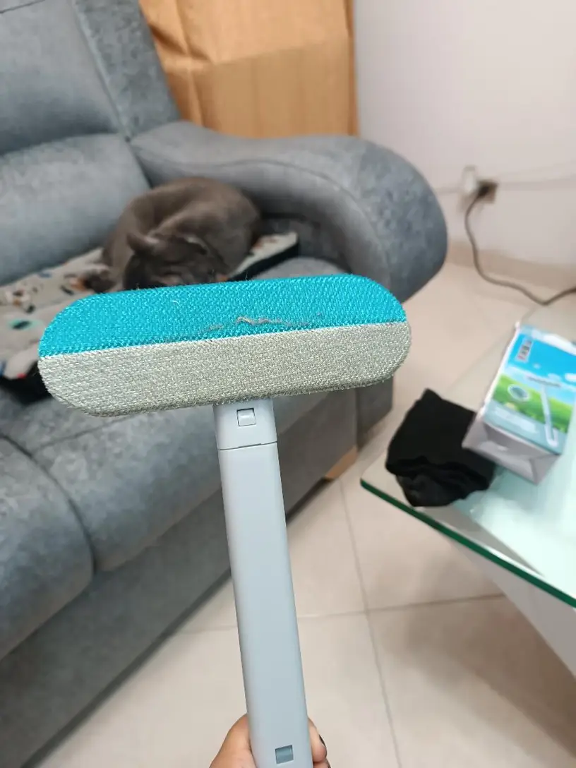Foto de Raúl