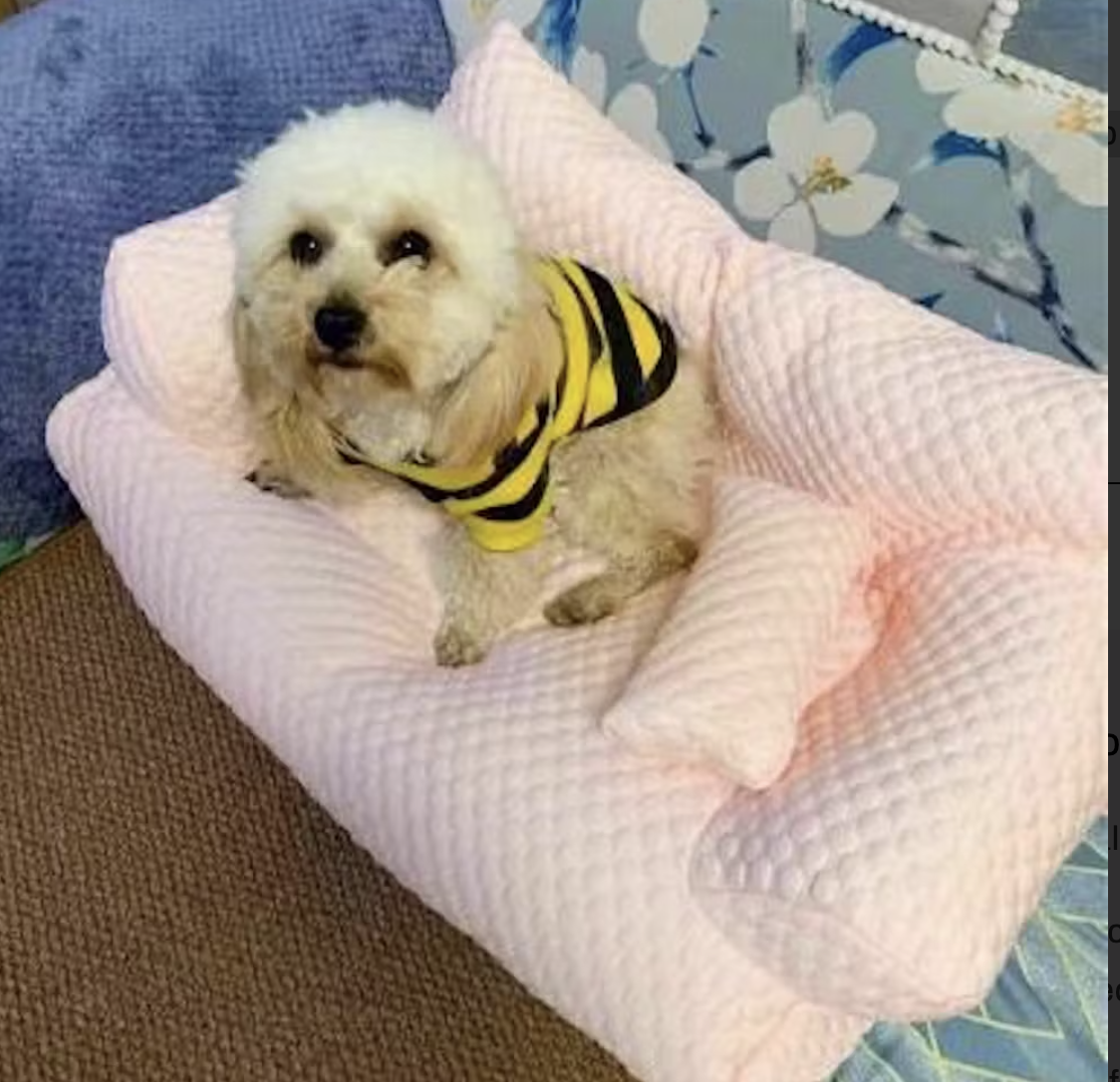 Foto de Bianca
