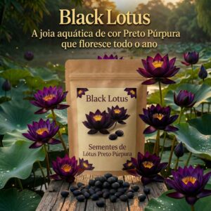 BlackLotus: Sementes de Lótus Preto Púrpura